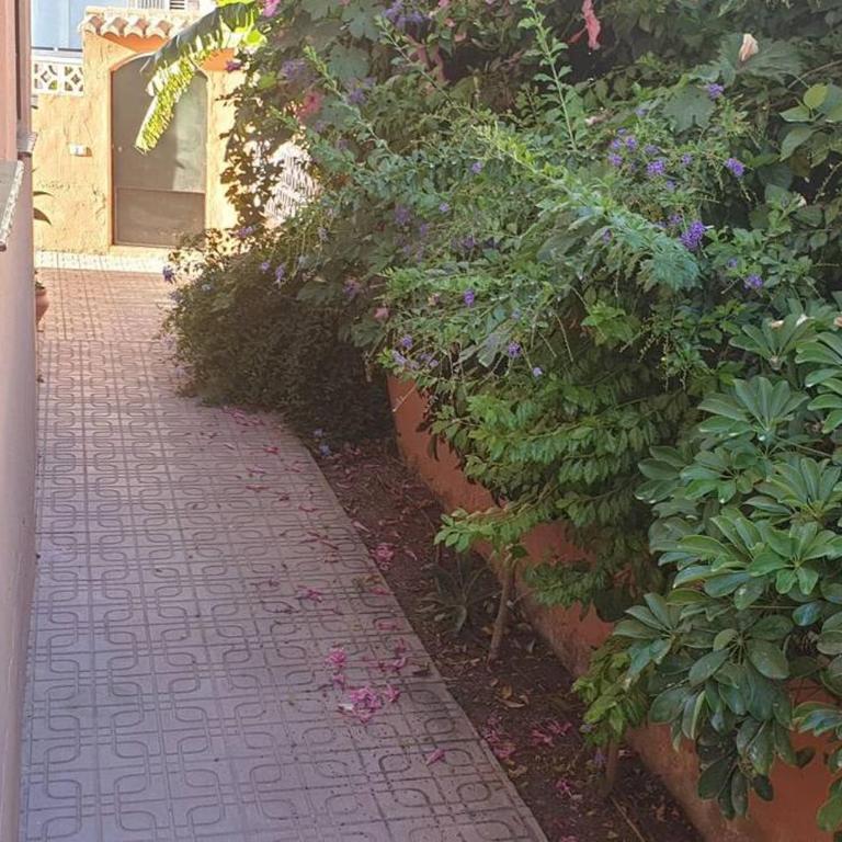 Casa Hurtado de Mendoza pequeña - Casa - 21