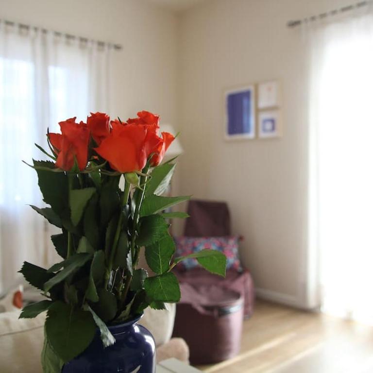 Casa Ol Gàl - Casa con 2 Camere da Letto - 10