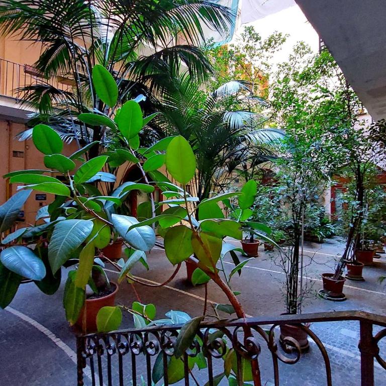 Domus Lou Luxury Apartment in Trastevere Roma - Appartamento con 1 Camera da Letto - 22