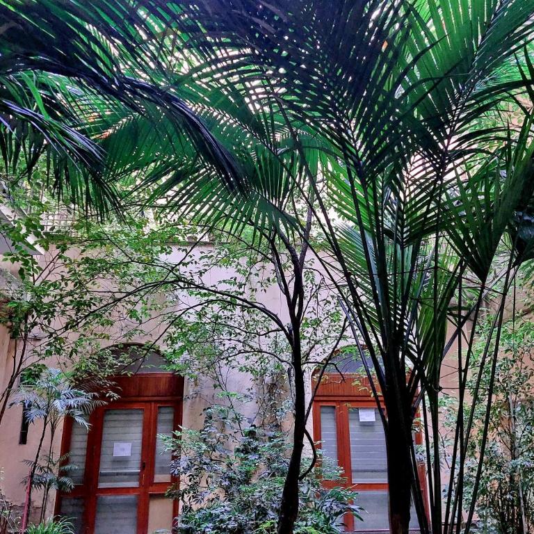 Domus Lou Luxury Apartment in Trastevere Roma - Appartamento con 1 Camera da Letto - 23