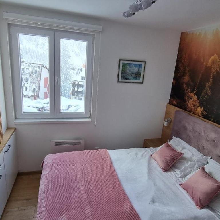 Vila Jahor Apartman Miro - Apartman sa 1 Spavaćom Sobom - 14