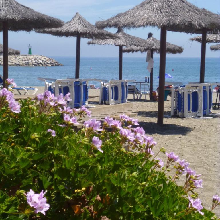 2114-Apt with nice terrace with pool view - Apartamento de 2 dormitorios - 39