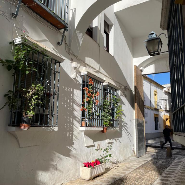 Vallaindiano - Three-Bedroom Apartment - 7
