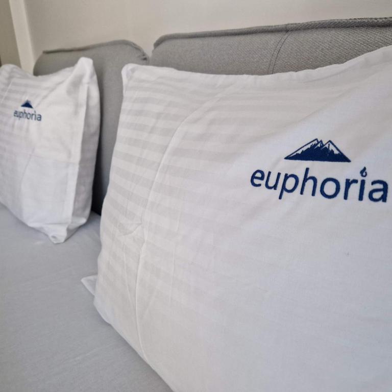 Euphoria Milmari Resort Kopaonik - Apartman sa 1 Spavaćom Sobom - 9