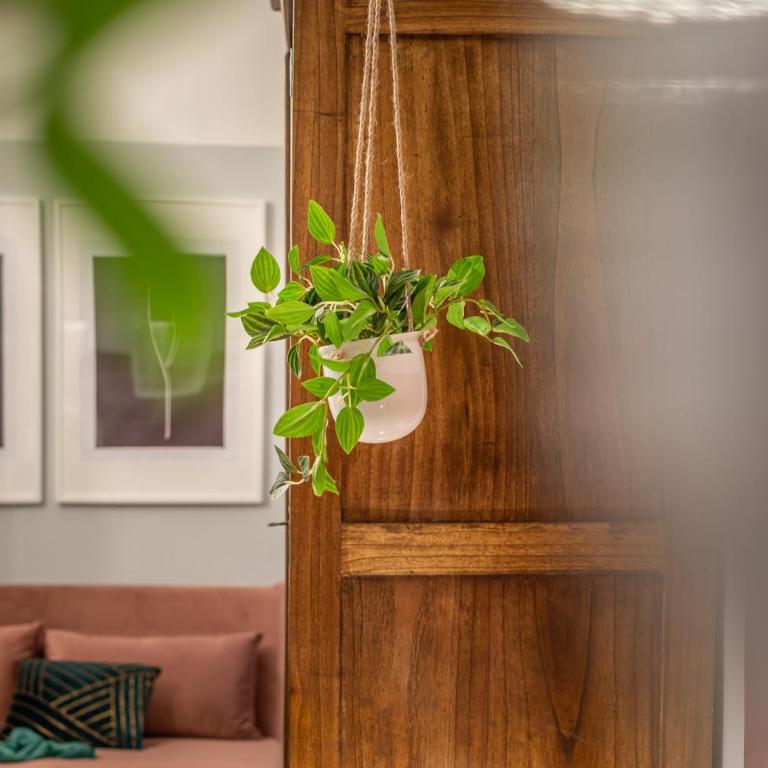 Wine Apartments Florence Vernaccia - Suite Familiare - 12