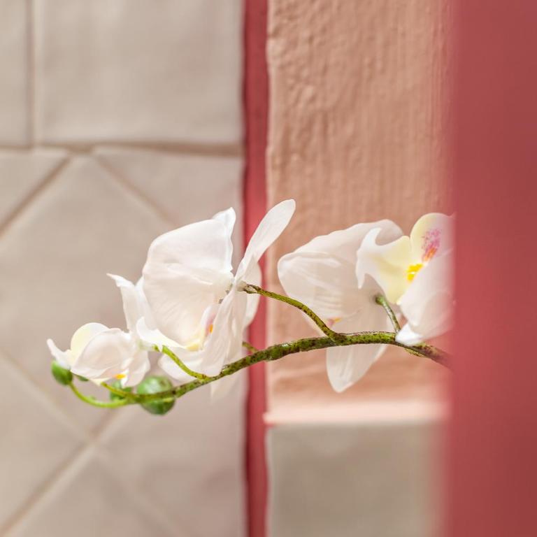 Wine Apartments Florence Vernaccia - Suite Familiare - 17