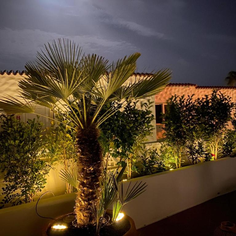 Casa BLANKA Bahia Playa Anlage Costa Calma - Apartamento de 2 dormitorios - 9