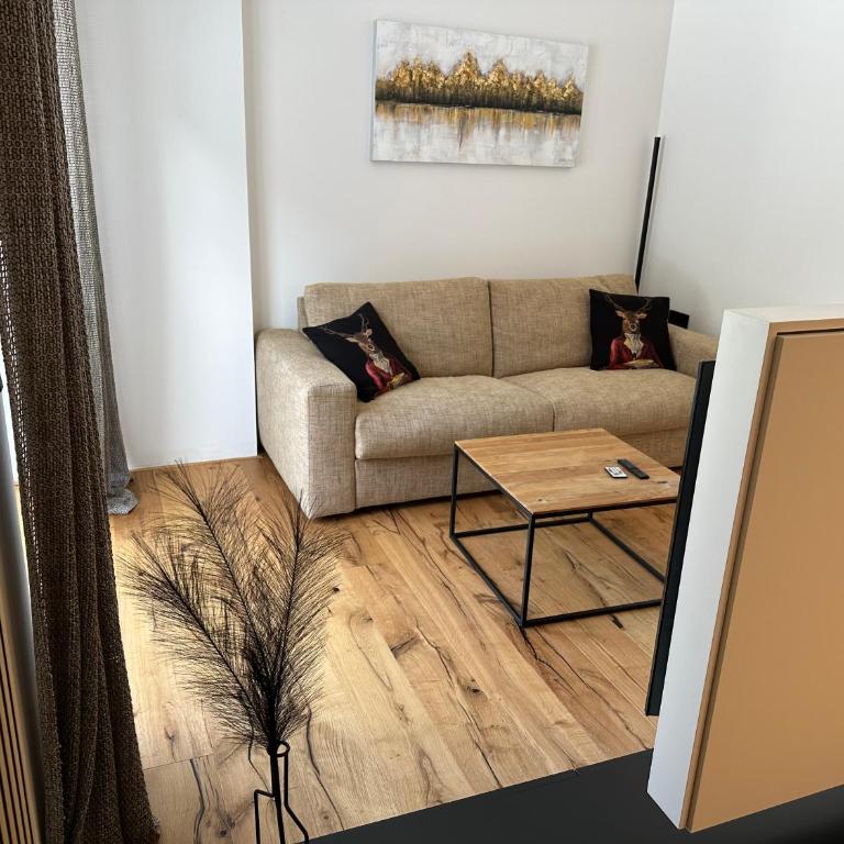 Auhof - Apartments Bad Gastein - Junior Suite mit Terrasse - 13