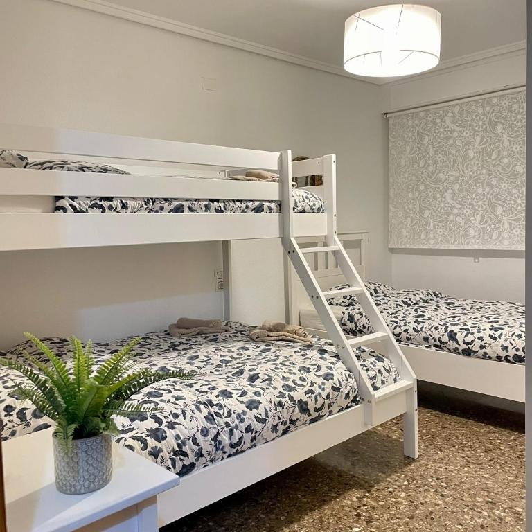 UIM Mediterraneo Claveles Wifi - Apartamento de 3 dormitorios - 6