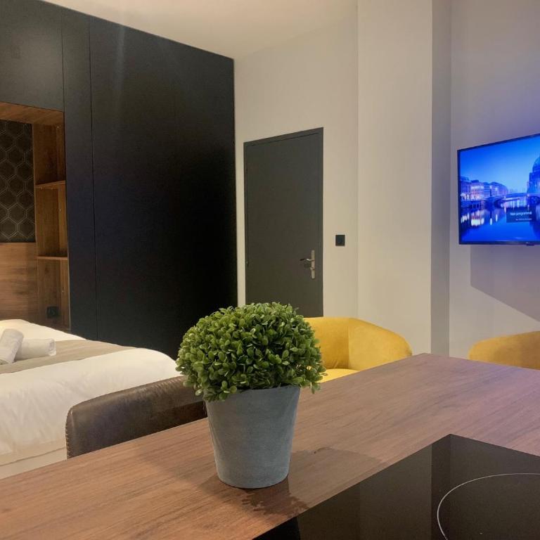Loge Galeries Lafayette 1 min lac - Studio Lit Queen-Size de Luxe - 11