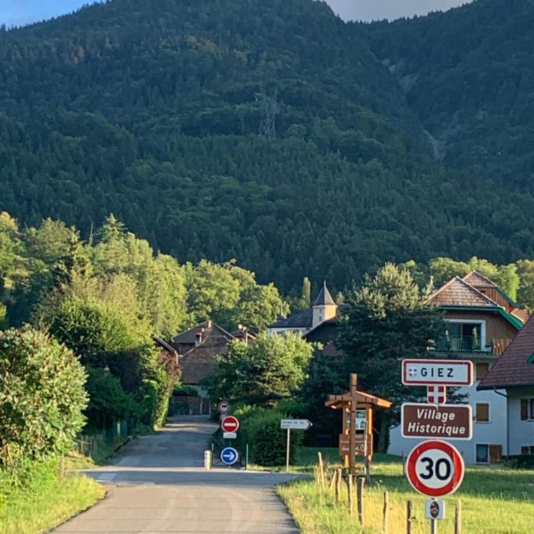Petit cocon entre lac, golf et montagne, proche d'Annecy - Appartement avec Terrasse - 28