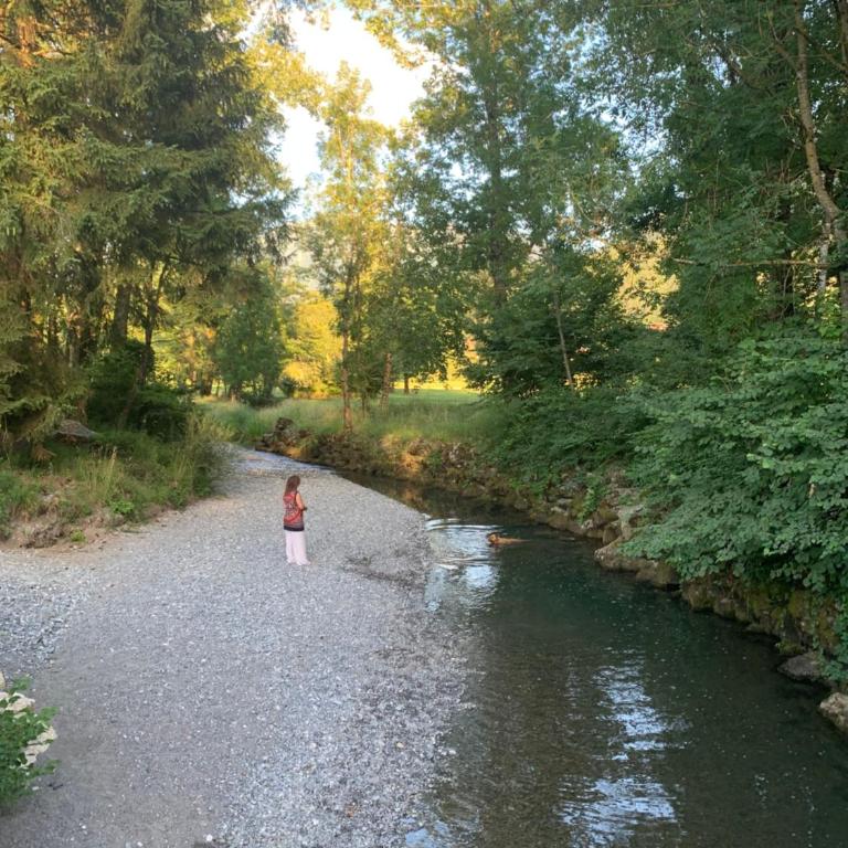 Petit cocon entre lac, golf et montagne, proche d'Annecy - Appartement avec Terrasse - 35