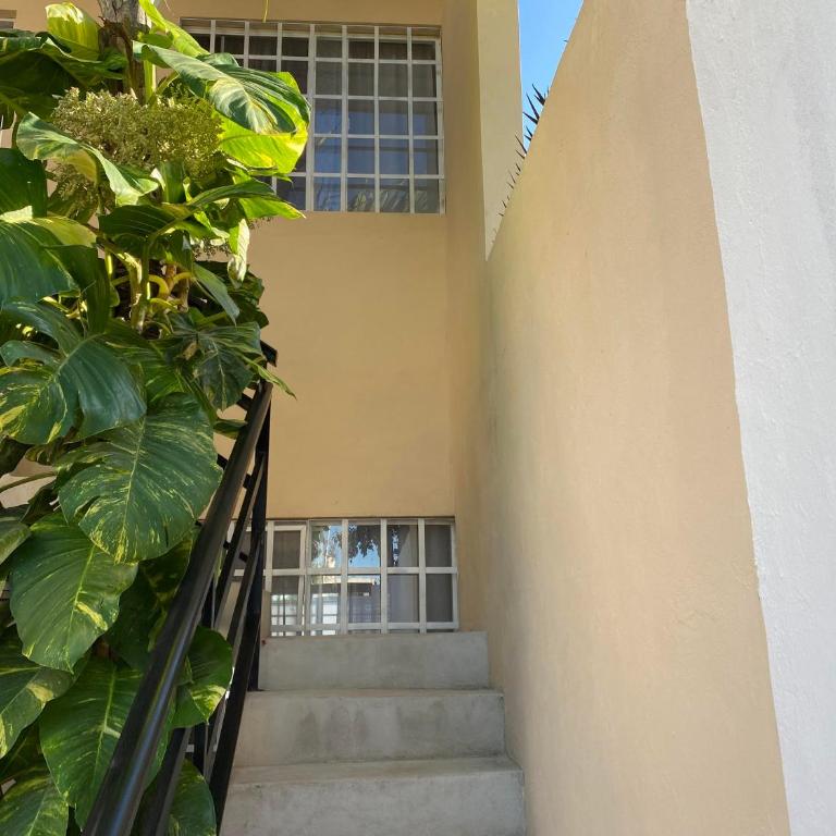 Departamentos cherris - Apartamento de 2 dormitorios - 23