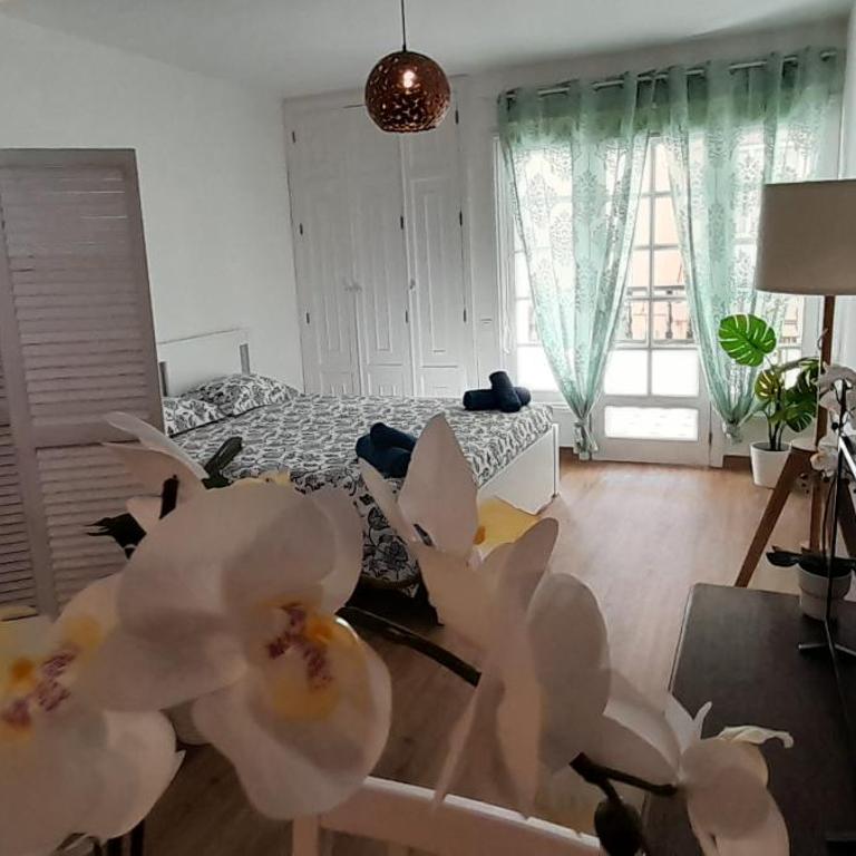Loft 105 - One-Bedroom Apartment - 23