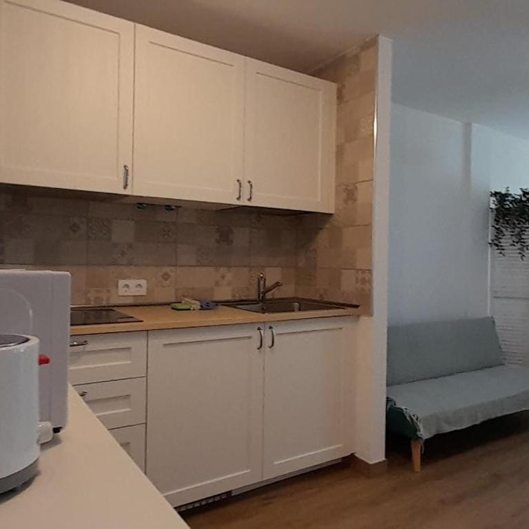 Loft 105 - One-Bedroom Apartment - 21