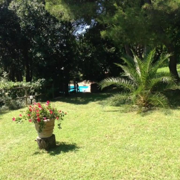 Casale della Luna - Villa con Piscina Privata - 15