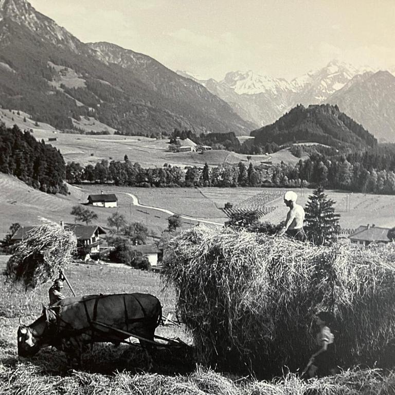 Alpenflair Ferienwohnungen Schulz - Apartment mit 1 Schlafzimmer - 7