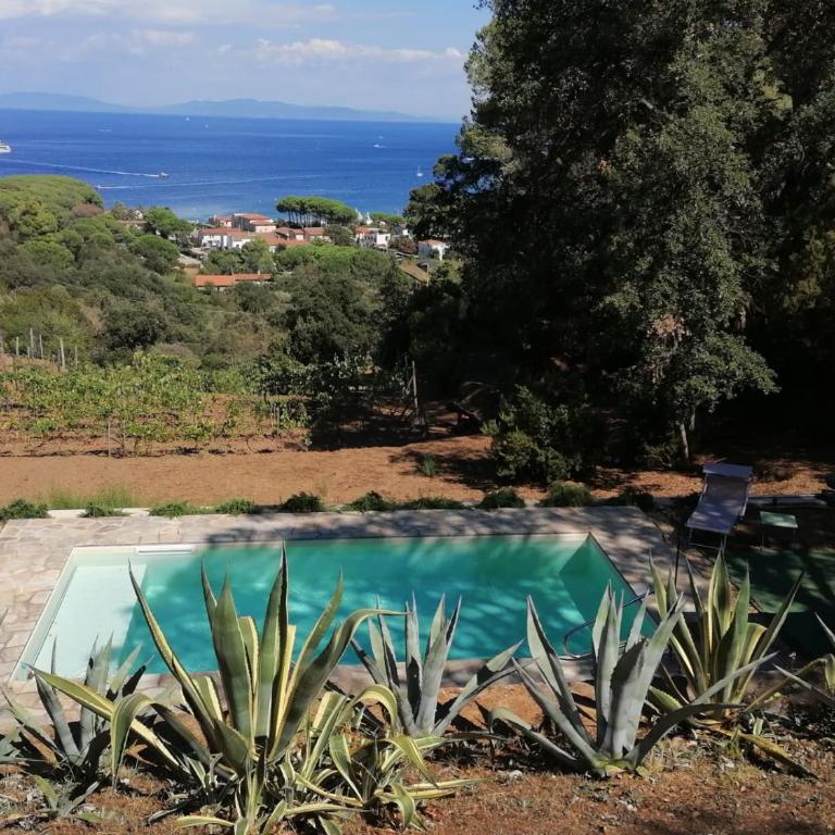 Villa Gualdo piscina vista mare - Villa - 6
