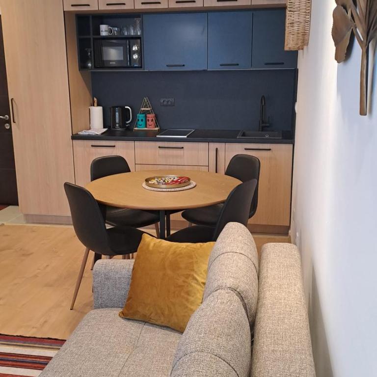 Vila Jahor Apartmani JET SET Lux - Apartman sa 1 Spavaćom Sobom - 7