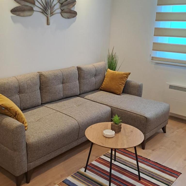 Vila Jahor Apartmani JET SET Lux - Apartman sa 1 Spavaćom Sobom - 11