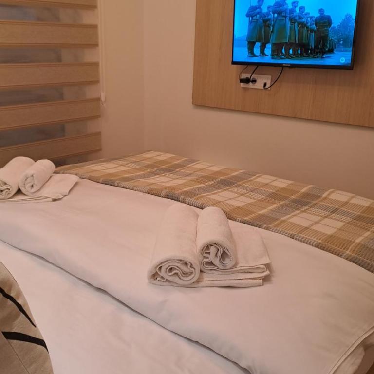 Vila Jahor Apartmani JET SET Lux - Apartman sa 1 Spavaćom Sobom - 15