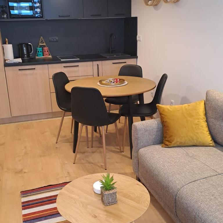 Vila Jahor Apartmani JET SET Lux - Apartman sa 1 Spavaćom Sobom - 10