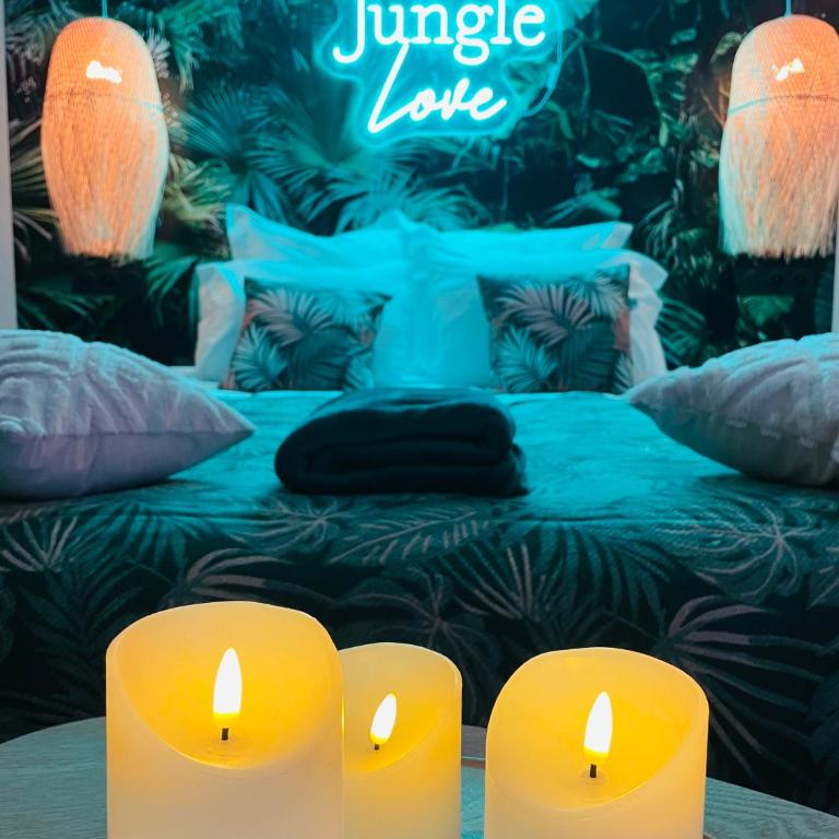 Jungle Love Loveroom avec Balnéo à 10 min de Disneyland Paris - Apartamento de 1 dormitorio - 24