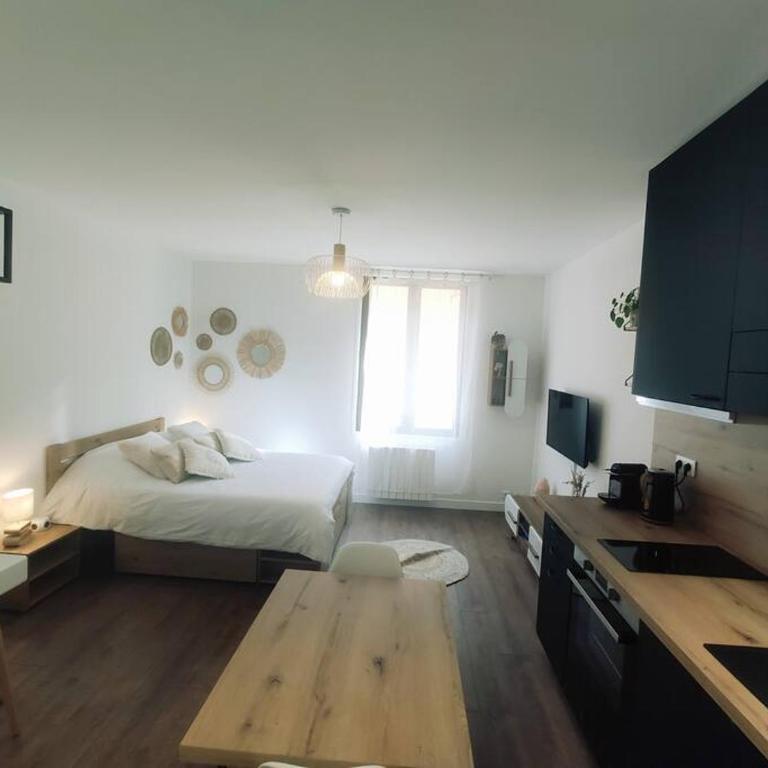 Annecy vieille ville, superbe appartement au calme - Apartamento de 1 dormitorio - 1