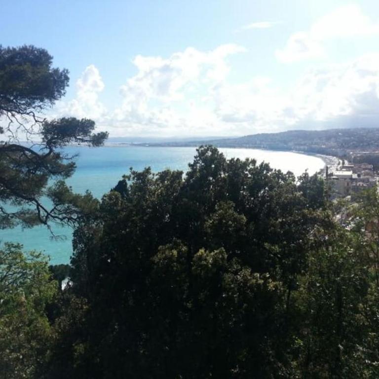 Nice & Les Cypres - Appartement 2 Chambres - 24
