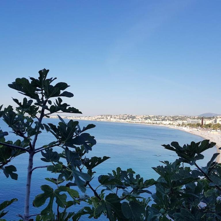 Nice & Les Cypres - Appartement 2 Chambres - 31