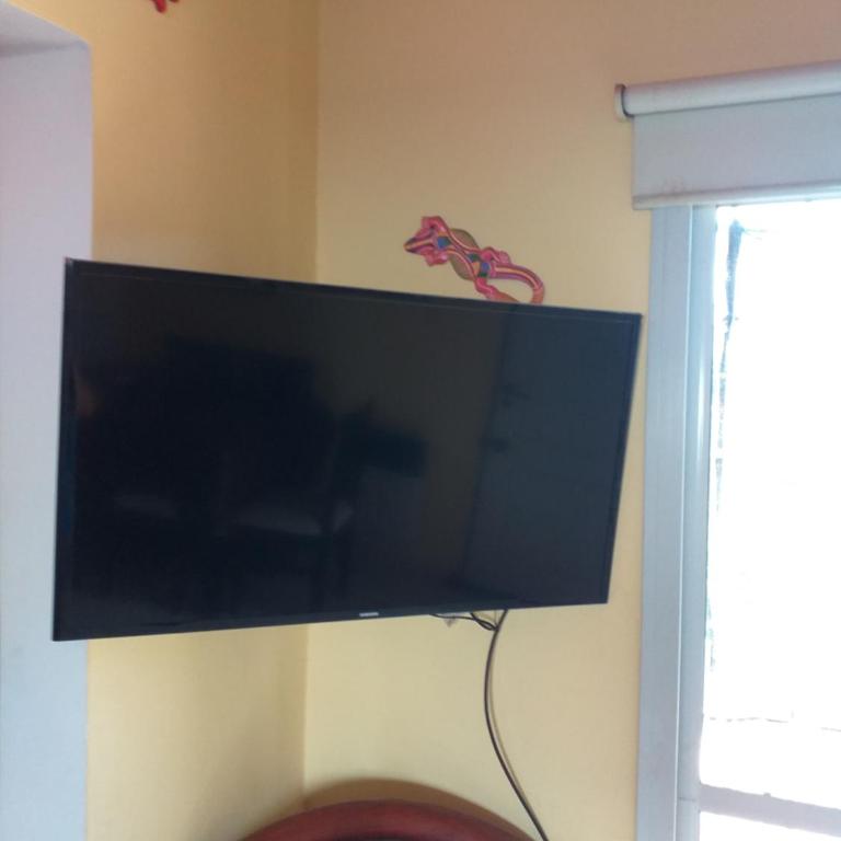 Mi lugar - Apartamento de 2 dormitorios - 3