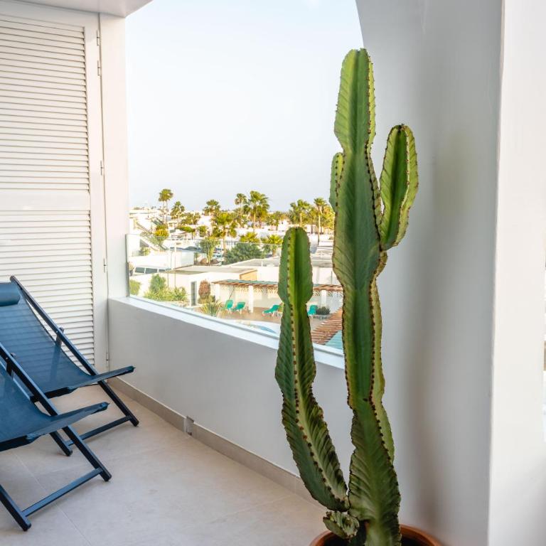 KALIMA APARTMENT - Two-Bedroom Apartment - 13