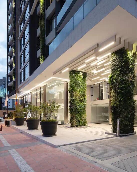 Luxury suite in La Carolina - Apartamento de 1 dormitorio - 2