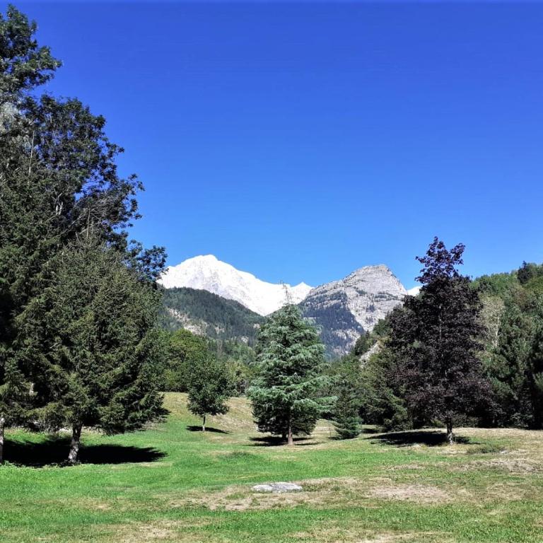 Pre-Saint Didier - Champex Apartments - Appartamento con 1 Camera da Letto - 5