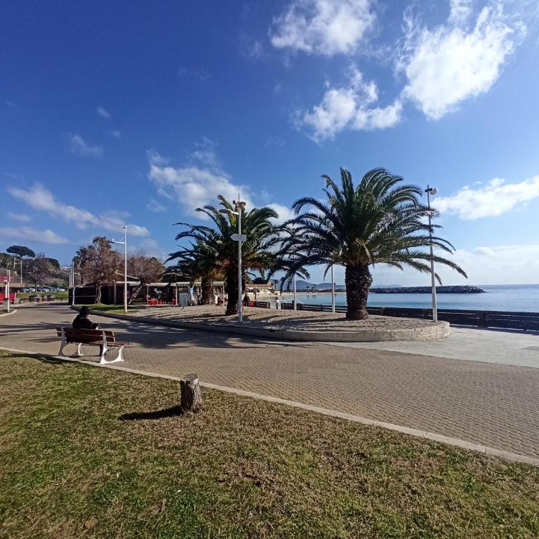 Sweet Aloha - Le Mourillon -Host - One-Bedroom Apartment - 24