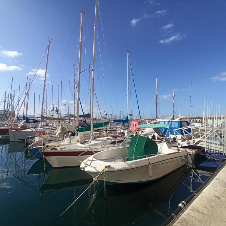 Sweet Aloha - Le Mourillon -Host - One-Bedroom Apartment - 32