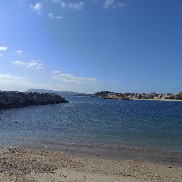 Sweet Aloha - Le Mourillon -Host - One-Bedroom Apartment - 30