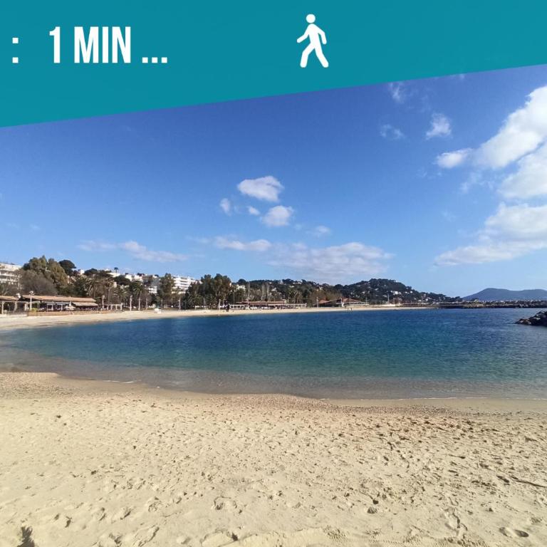 Sweet Aloha - Le Mourillon -Host - One-Bedroom Apartment - 40