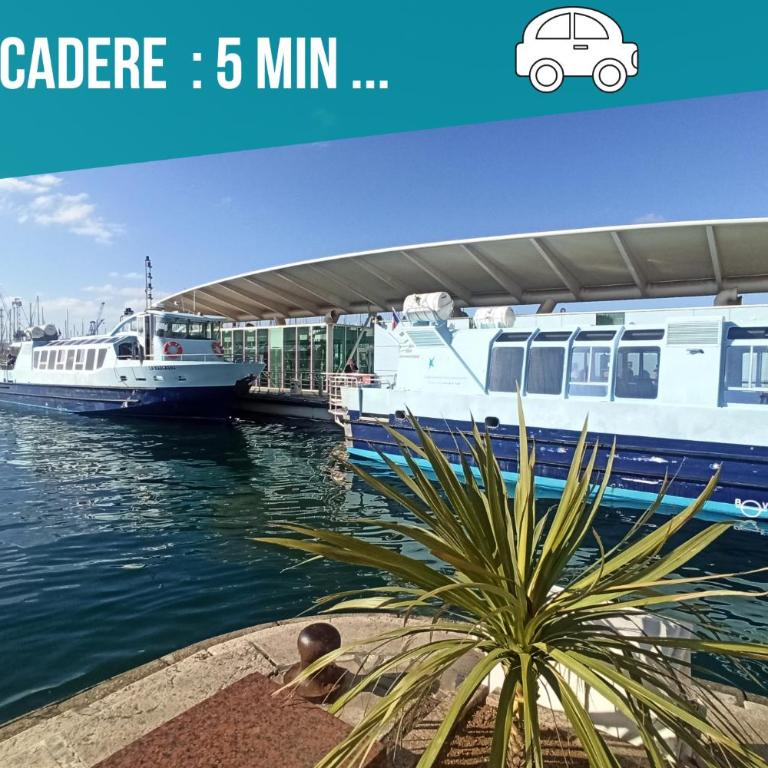 Sweet Aloha - Le Mourillon -Host - One-Bedroom Apartment - 45