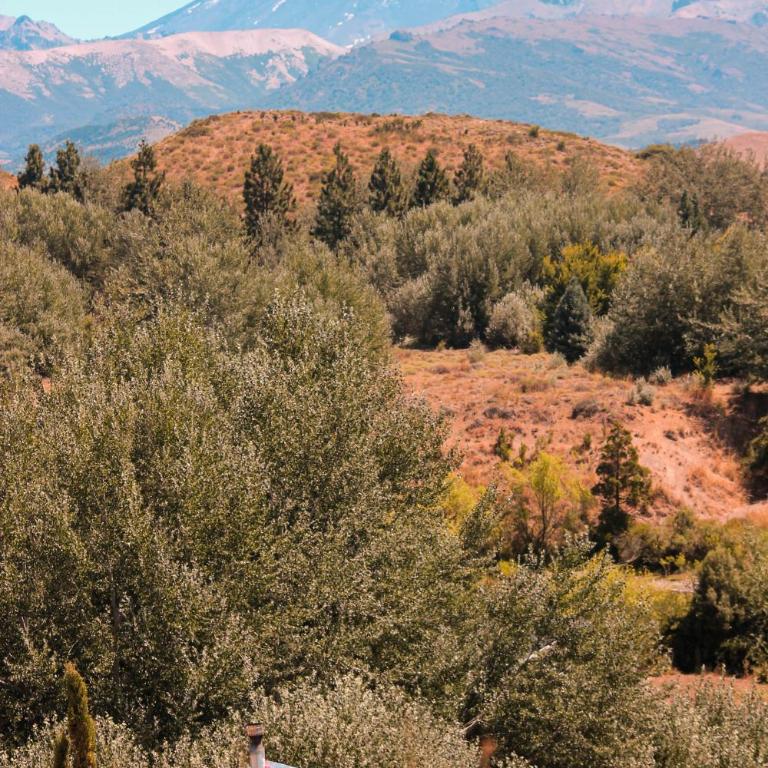 Cuatro Vientos Patagonia - Lago Huechulafquen - Casa con 1 dormitorio - 13
