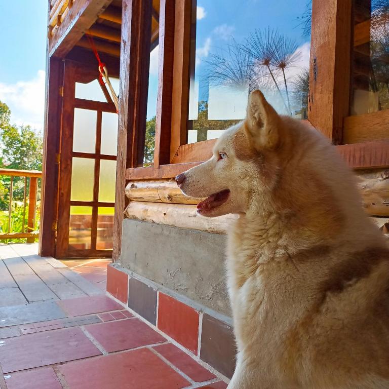 Chalet del lago Santa Elena - Chalet Superior - 41
