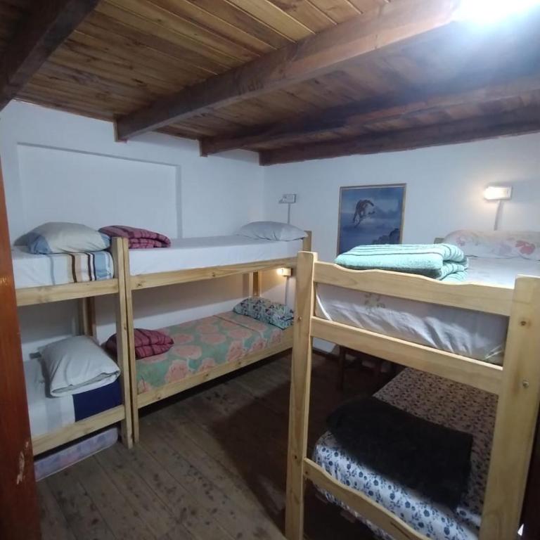 Hostel Piltri - Bed in 6-Bed Female Dormitory Room - 1