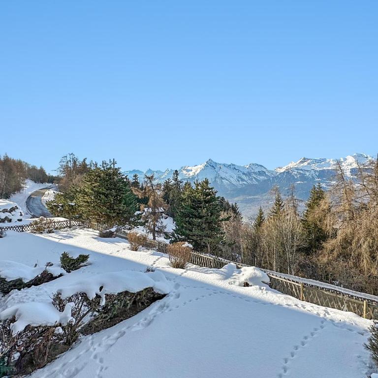 Les Mayens de l'Ours - At the foot of Piste de l'Ours' slope! - Apartment - 12