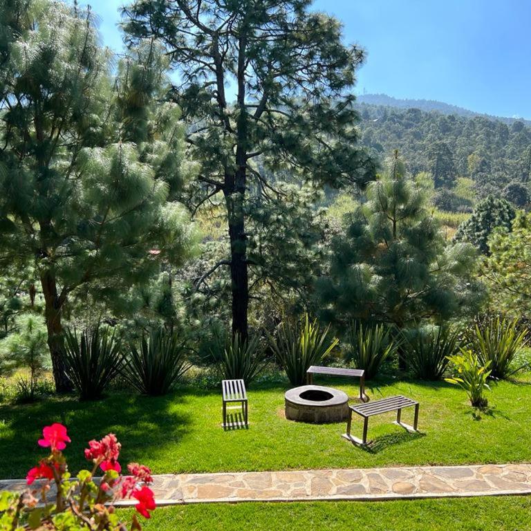 Cabaña No.7 Puerta del Bosque Mazamitla. - Chalet de 3 dormitorios - 27