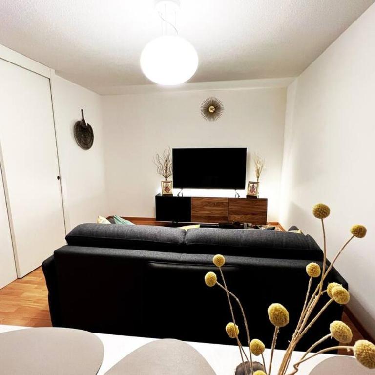 Modern 2BR apartment for up to 6 WEF Exclusive Davos Platz & Promenad - Apartment mit 2 Schlafzimmern - 10