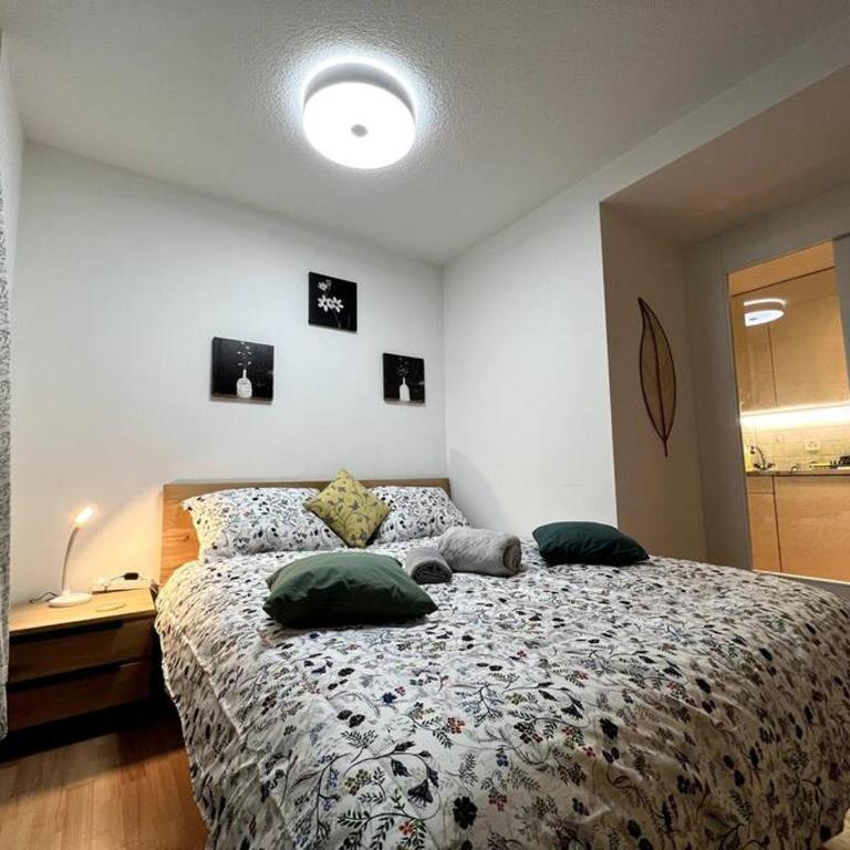 Modern 2BR apartment for up to 6 WEF Exclusive Davos Platz & Promenad - Apartment mit 2 Schlafzimmern - 16