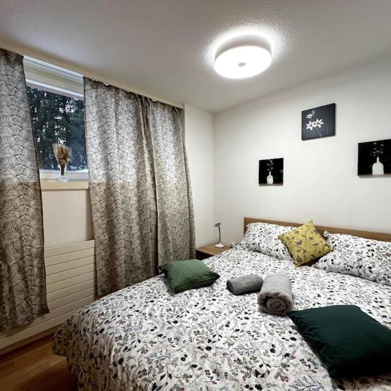 Modern 2BR apartment for up to 6 WEF Exclusive Davos Platz & Promenad - Apartment mit 2 Schlafzimmern - 15