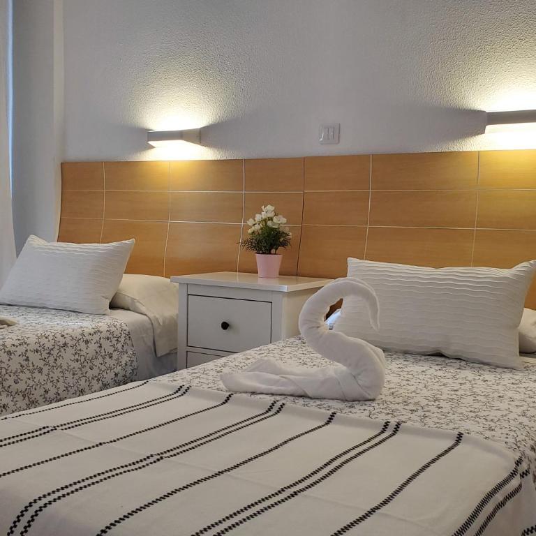 Las Camelias Apartments - Apartamento con balcón - 9