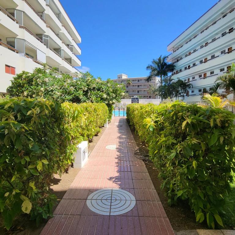 Las Camelias Apartments - Apartamento con balcón - 46