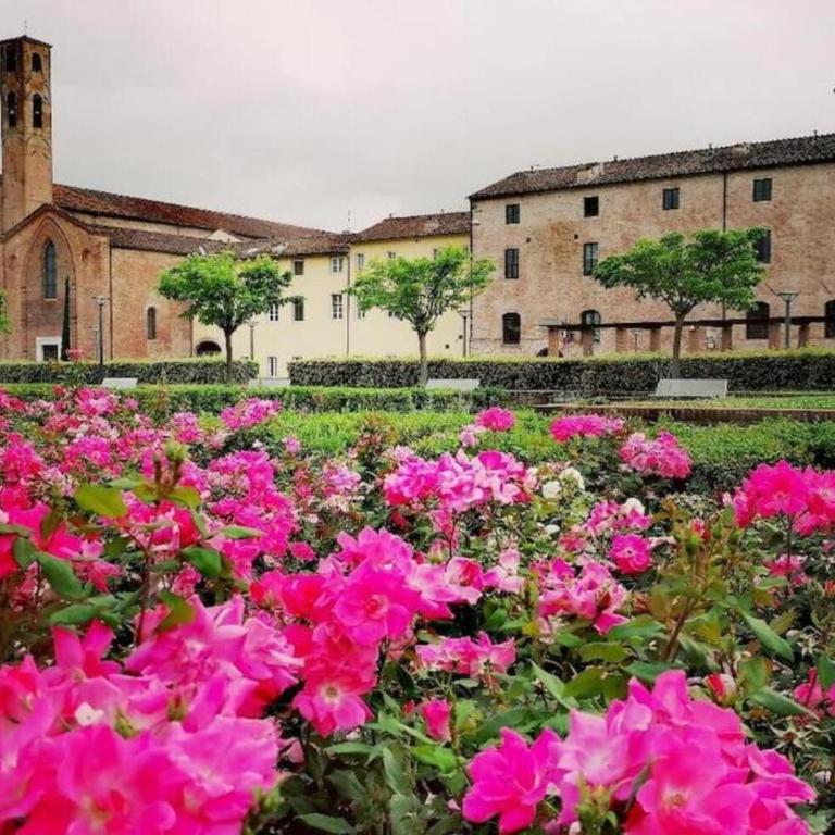 Lo Stellario di Lucca - Appartamento con 1 Camera da Letto - 21